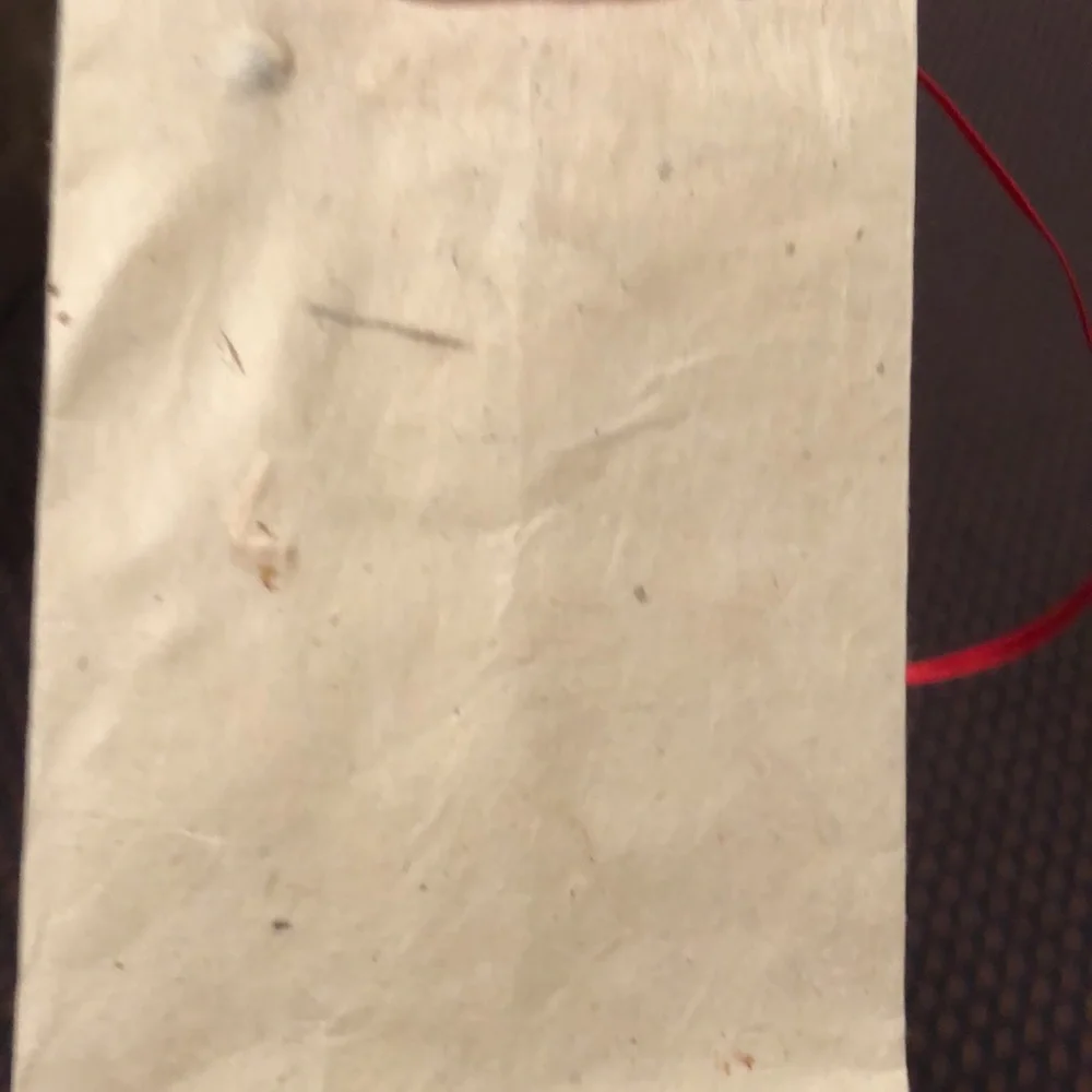 New 20 count small rice paper bags with red satin ribbon ties